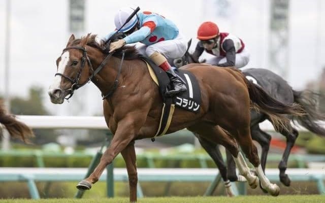 【京王杯2歳S予想オッズ】牝馬コラリンが予想1番人気