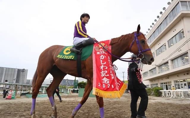 【JBCクラシック 注目馬】3つ目のビッグタイトルを賭けて地方の雄がJRA勢を迎え撃つ