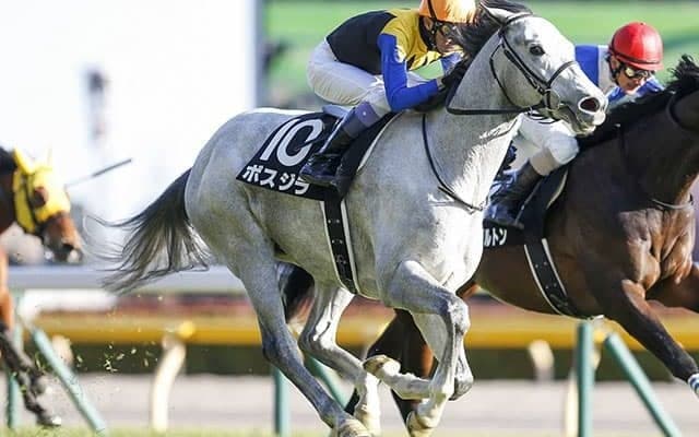 【アルゼンチン共和国杯「見逃せない調教師」ベスト3】アルゼンチン共和国杯の舞台で絶対に外せないのは○○調教師！