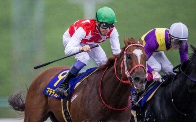 2021ブリーダーズカップ 日本馬の近況（11月1日）