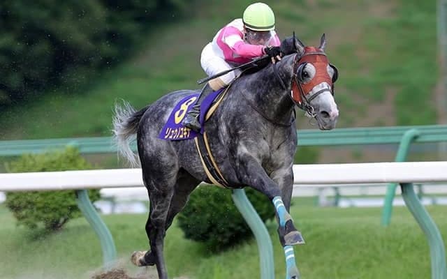 【JBCスプリント 注目馬】目下8戦連続連対中の超安定株がJpnI制覇へ