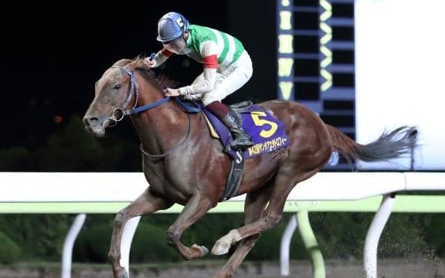 【大井・サンタアニタトロフィー】優勝の8歳馬トロヴァオの笹川翼騎手「8歳でも本当に馬は若い」