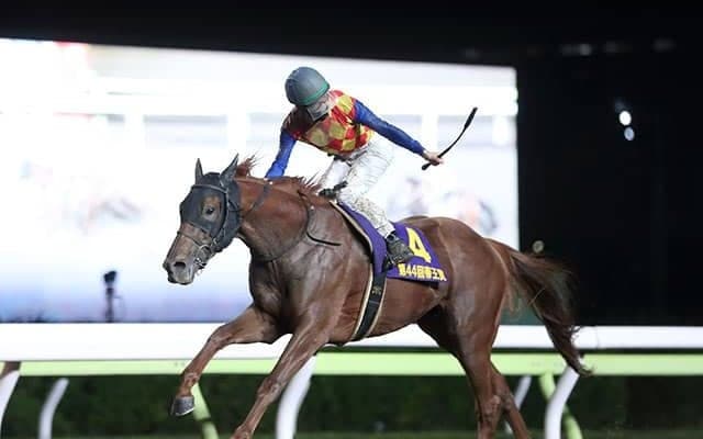 【JBCクラシック 14時時点オッズ】テーオーケインズが単勝2.4倍の1番人気　オメガパフューム、カジノフォンテンと続く