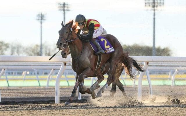 【JBC2歳優駿】三浦「終始手応えは良かった」アイスジャイアントがデビュー2連勝