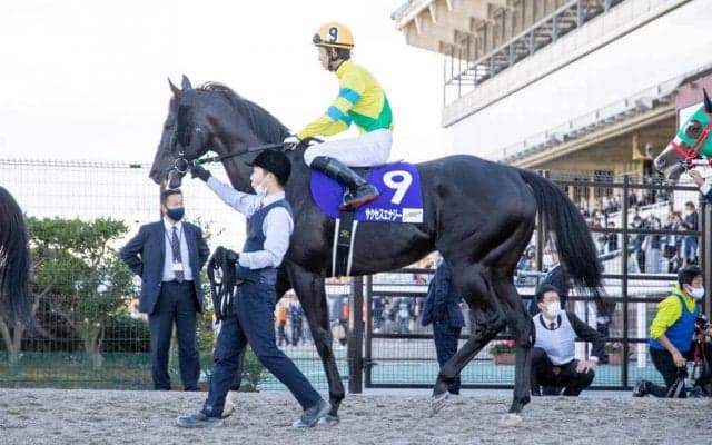 【JBCスプリント】松山「ムラがあるのかな…」サクセスエナジーは見せ場なく7着敗退