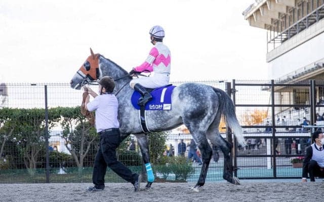 【JBCスプリント】柴田善「金沢コースはマイナス」リュウノユキナは5着敗退