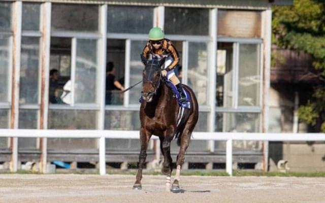 【JBCスプリント】松若「1200がベストかな」モズスーパーフレアは粘りきれず3着