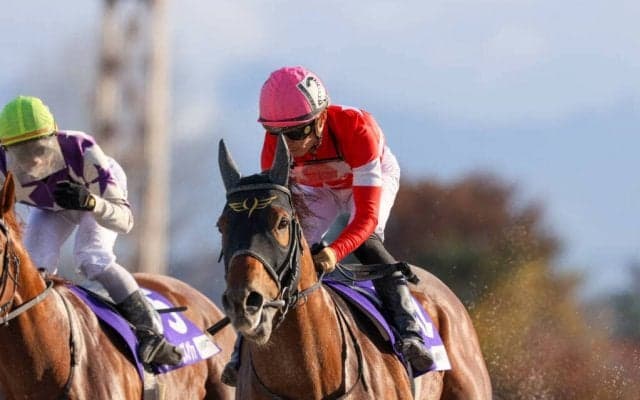 【JBCスプリント】吉原寛「逆に内を突いた」サンライズノヴァは出遅れるも2着確保