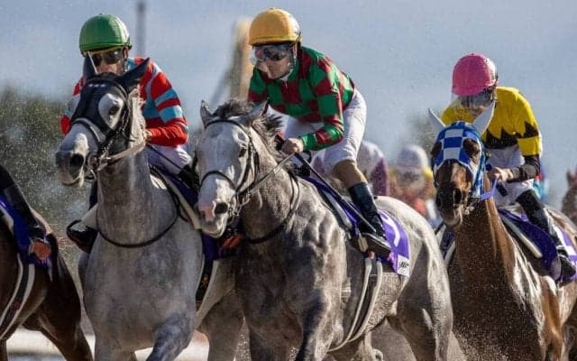 【JBCレディスクラシック】松山「窮屈な競馬になってしまった」レーヌブランシュは4着敗退