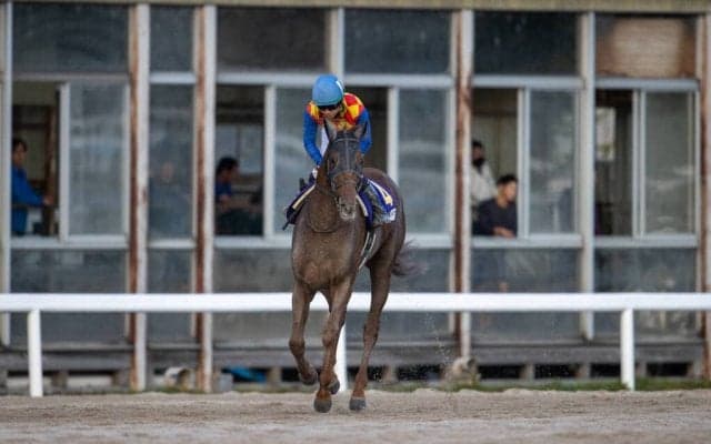 【JBCクラシック】松山「リズムが悪かった」テーオーケインズは出遅れで4着