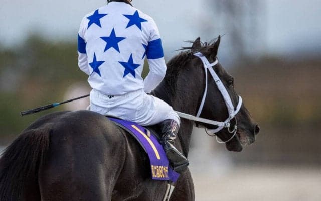 【JBCクラシック】戸崎「次が更に良くなるんじゃないかな」チュウワウィザードは3着