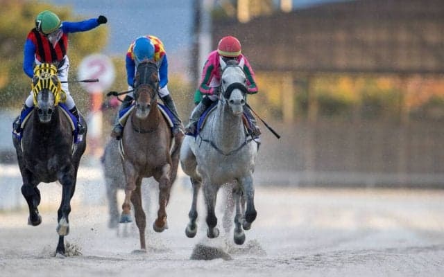 【JBCクラシック】デムーロ「残念です」オメガパフュームは惜しい2着