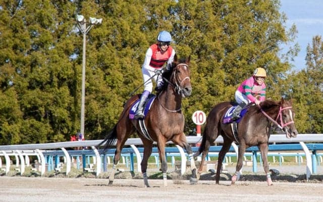 【JBCレディスクラシック】武豊「いつか重賞獲れる」レース後ジョッキーコメント