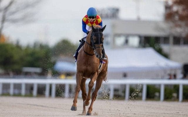 【JBCクラシック】松山「スタートを上手く出れなくて…」レース後ジョッキーコメント