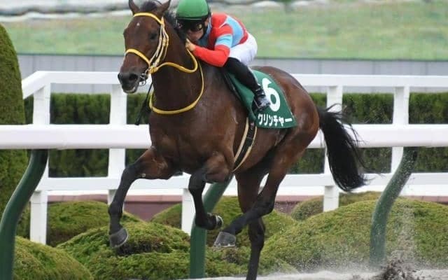 【みやこS展望】チャンピオンズCの前哨戦、好走の条件とは