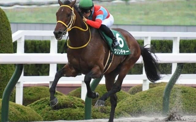 【みやこS出走馬・騎手確定】クリンチャー＆武豊騎手、オーヴェルニュ＆和田竜二騎手など16頭