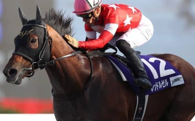 【JBCスプリント回顧】内を突いて鮮やかにレッドルゼル/斎藤修