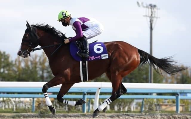 【JBCレディスクラシック回顧】余力十分テオレーマが突き抜ける/斎藤修
