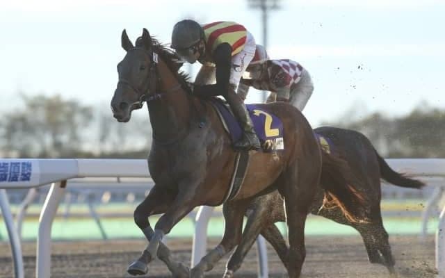 【JBC2歳優駿回顧】後方から流れに乗ったアイスジャイアント快勝/斎藤修