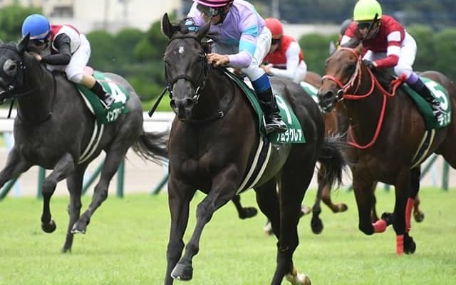 【ファンタジーS出走馬・騎手確定】ナムラクレア＆浜中俊騎手、ウォーターナビレラ＆武豊騎手など10頭