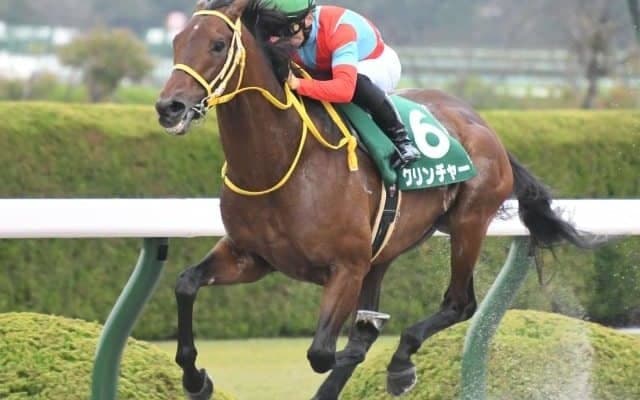 【みやこS枠順確定】クリンチャーは6枠11番、オーヴェルニュは5枠9番