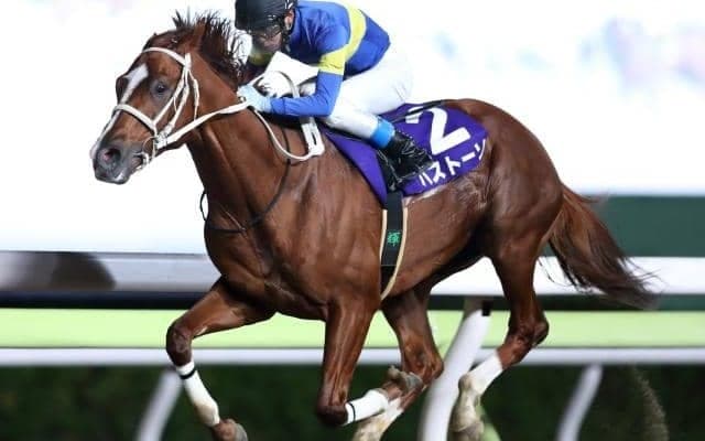 【大井・スターバーストC結果】瀬川将輝騎手騎乗の1番人気パストーソが逃げ切り快勝