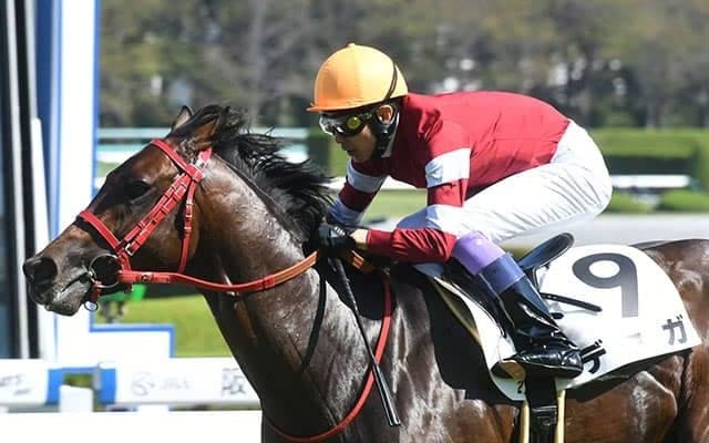 【次走】藤田晋氏所有のデュガ　福島2歳Sか自己条件で2勝目狙う