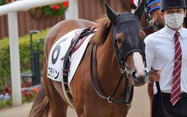 【本日の注目ポイント】京王杯2歳SとファンタジーS、松岡Jと北村宏Jの復帰など