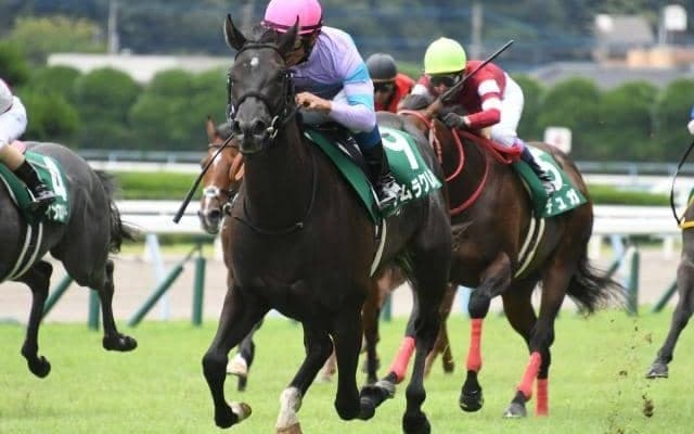 【ファンタジーS予想】波乱も期待できる阪神JFの前哨戦