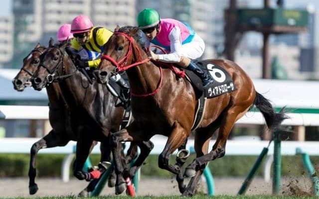 【京王杯2歳S予想】キャリアの浅い馬同士のレースだからこそ距離適性を重視