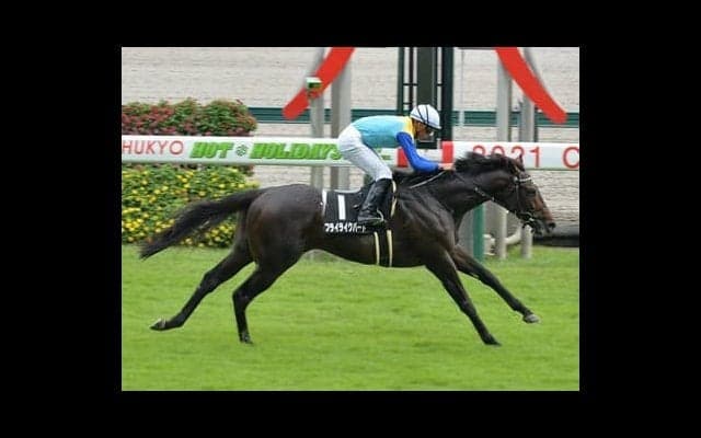 アルゼンチン共和国杯は血統ロマンを追う。飛躍に期待の「ニューヒーロー候補」は？