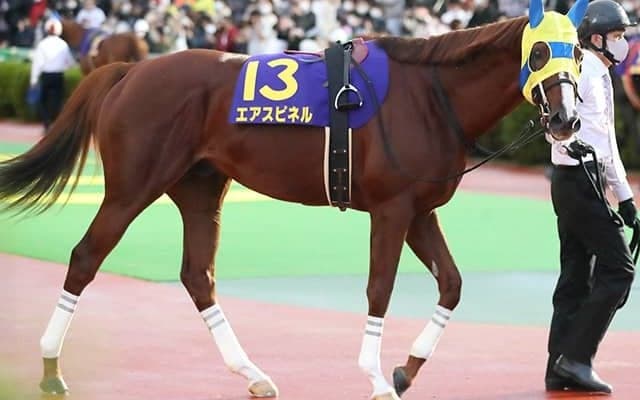 【武蔵野S想定】エアスピネル、ダイワキャグニー、サトノアーサーなど芝重賞ウイナーが多数