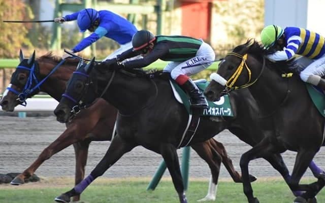 【福島記念想定】重賞3勝馬コントラチェック、前年覇者バイオスパークなど21頭
