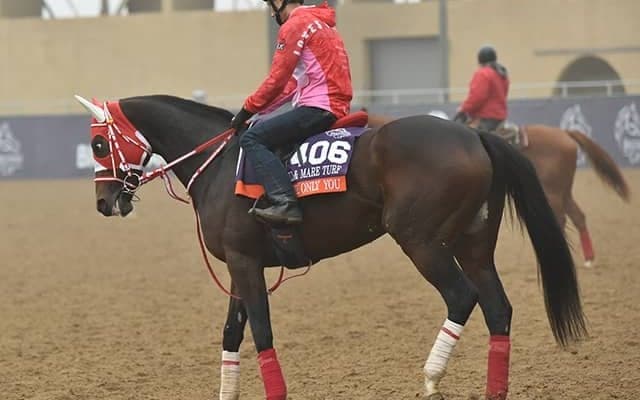 日本馬6頭が出走＆JRA馬券も発売！日本時間7日朝の米ブリーダーズカップまとめ