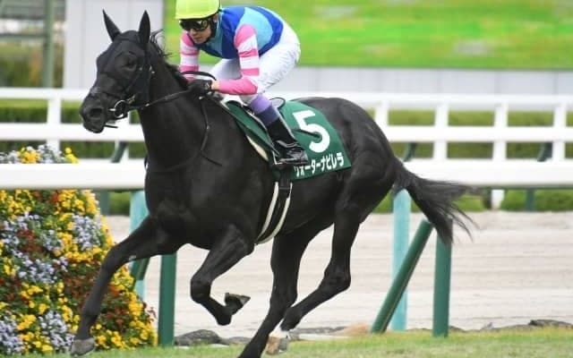 【ファンタジーS結果】ウォーターナビレラがデビュー3連勝！シルバーステート産駒の重賞初V