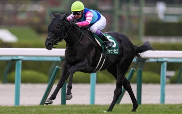 【ファンタジーS】シルバーステート産駒 ウォーターナビレラが無傷の3連勝