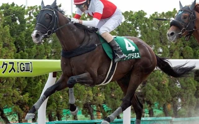 【みやこS予想】今年も阪神ダート1800mが舞台！ 前走距離と血統が重要か/JRAレース展望