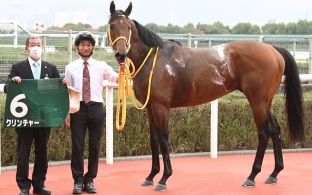 【みやこS前日オッズ】クリンチャーが3.3倍で1番人気、メイショウムラクモが続く