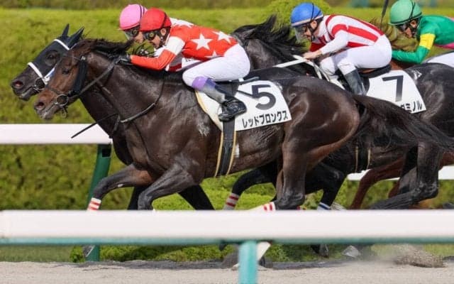 【阪神7R】武豊 レッドブロンクスが2勝目