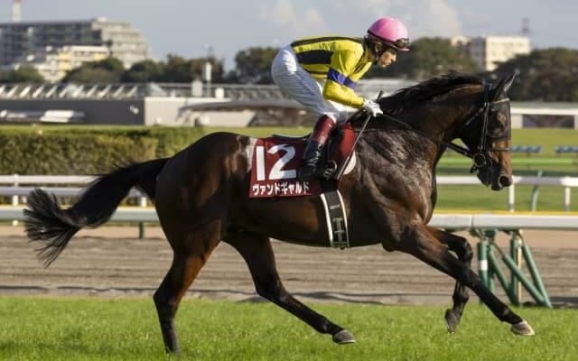 【本日の注目ポイント】アルゼンチン共和国杯とみやこS、日本馬6頭参戦の米BCにも注目