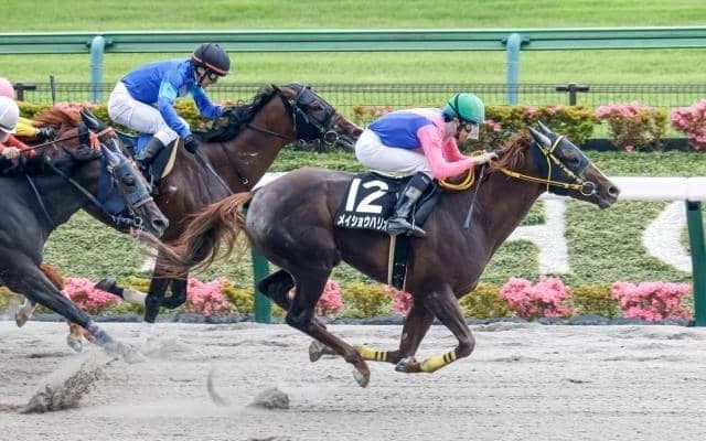 【みやこS予想】実績馬有利なチャンピオンズCのステップレース