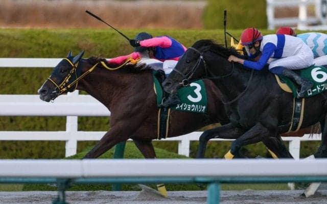 【みやこS】メイショウハリオが重賞初制覇