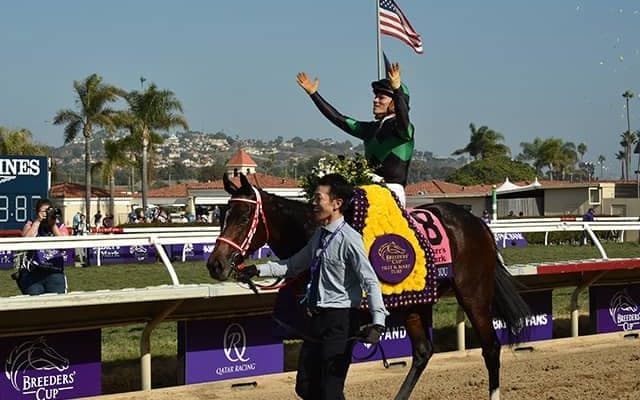 【次走】ラヴズオンリーユー、順調なら米国から香港カップへ直行　日本馬初のブリーダーズC覇者