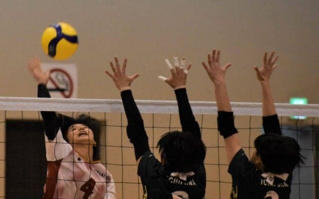 春高バレー　千葉は男子・習志野、女子は敬愛学園が全国大会出場