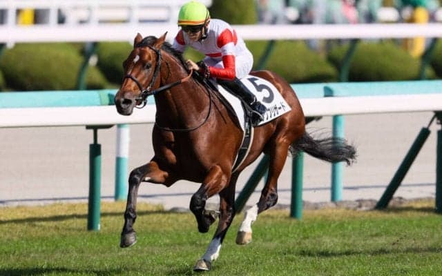 【新馬/阪神5R】ディープ産駒 ダノンブリザードがデビューV