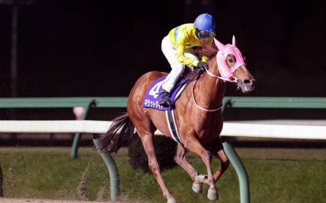 【盛岡・絆C】キラットダイヤがまたもや圧勝！短距離重賞4連勝の快挙を達成