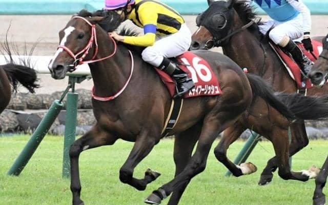 【福島記念ハンデ確定】ステイフーリッシュは57.5kg、アラタは56.0kg