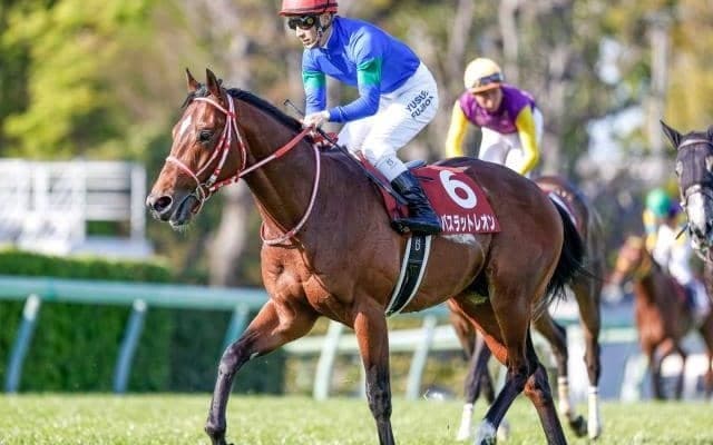 【オーロCハンデ確定】バスラットレオンは55.0kg、ダディーズビビッドは54.0kg