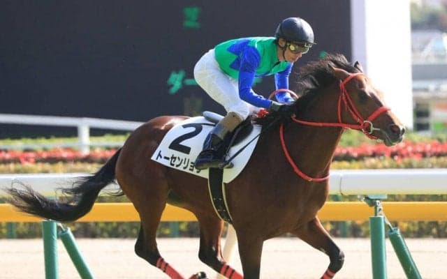 【新馬/東京5R】2億円ホース トーセンリョウが高額馬対決を制する