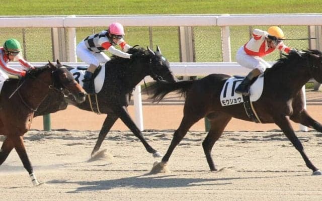 【新馬/東京6R】断然人気のモウショウがデビューV